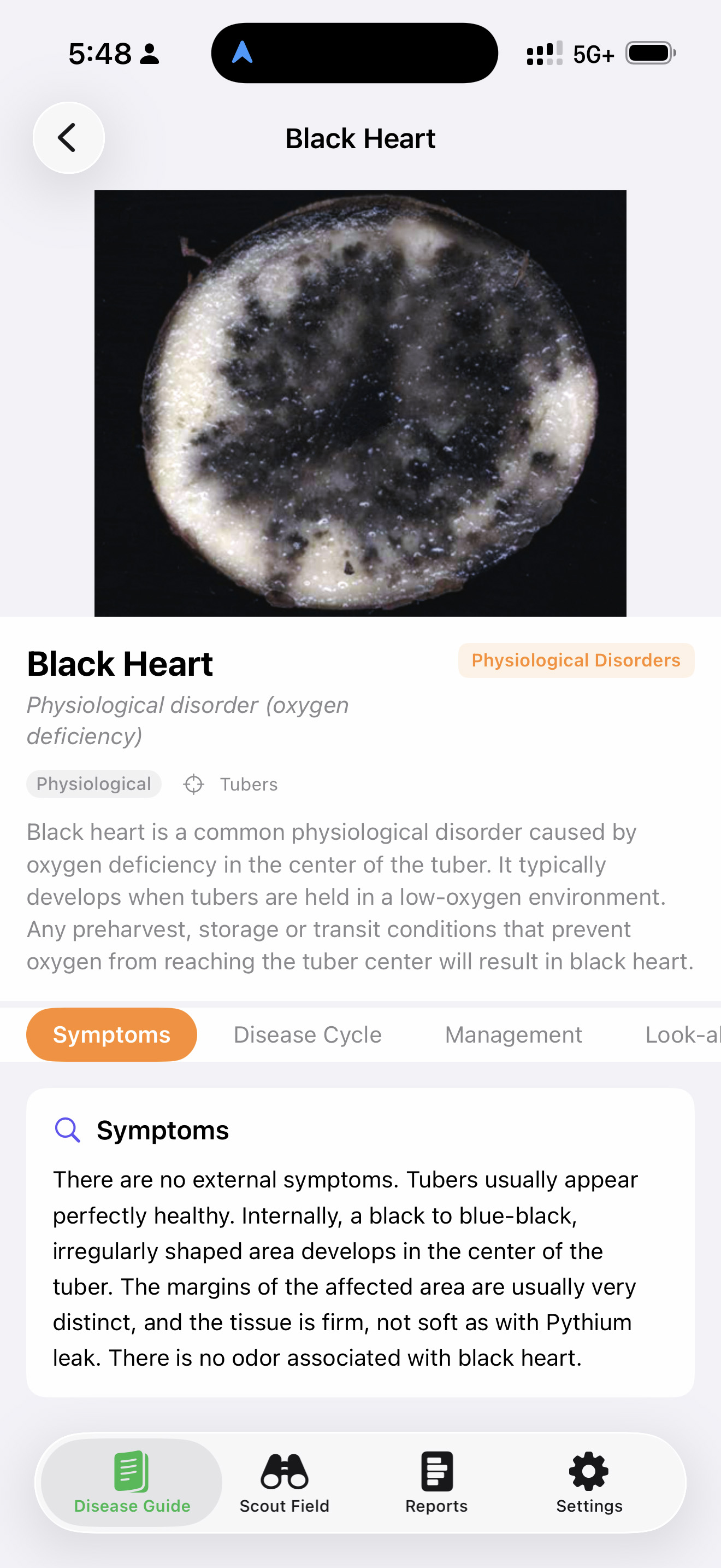 SpudScout disease guide entry for Black Heart, showing a cross-sectioned tuber with characteristic blue-black core from oxygen deficiency